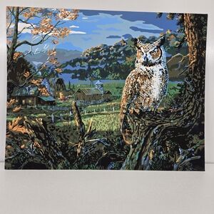 Edge Of The Night Finished Acrylic Painting Paint By Number Great Horned Owl